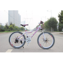 Venta caliente barato City Bike Lady Bike Bicicletas de mujer